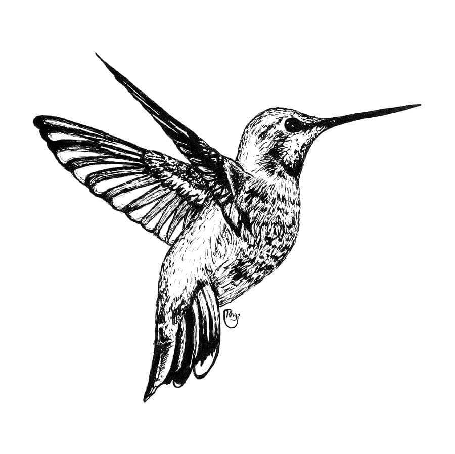 Hummingbird